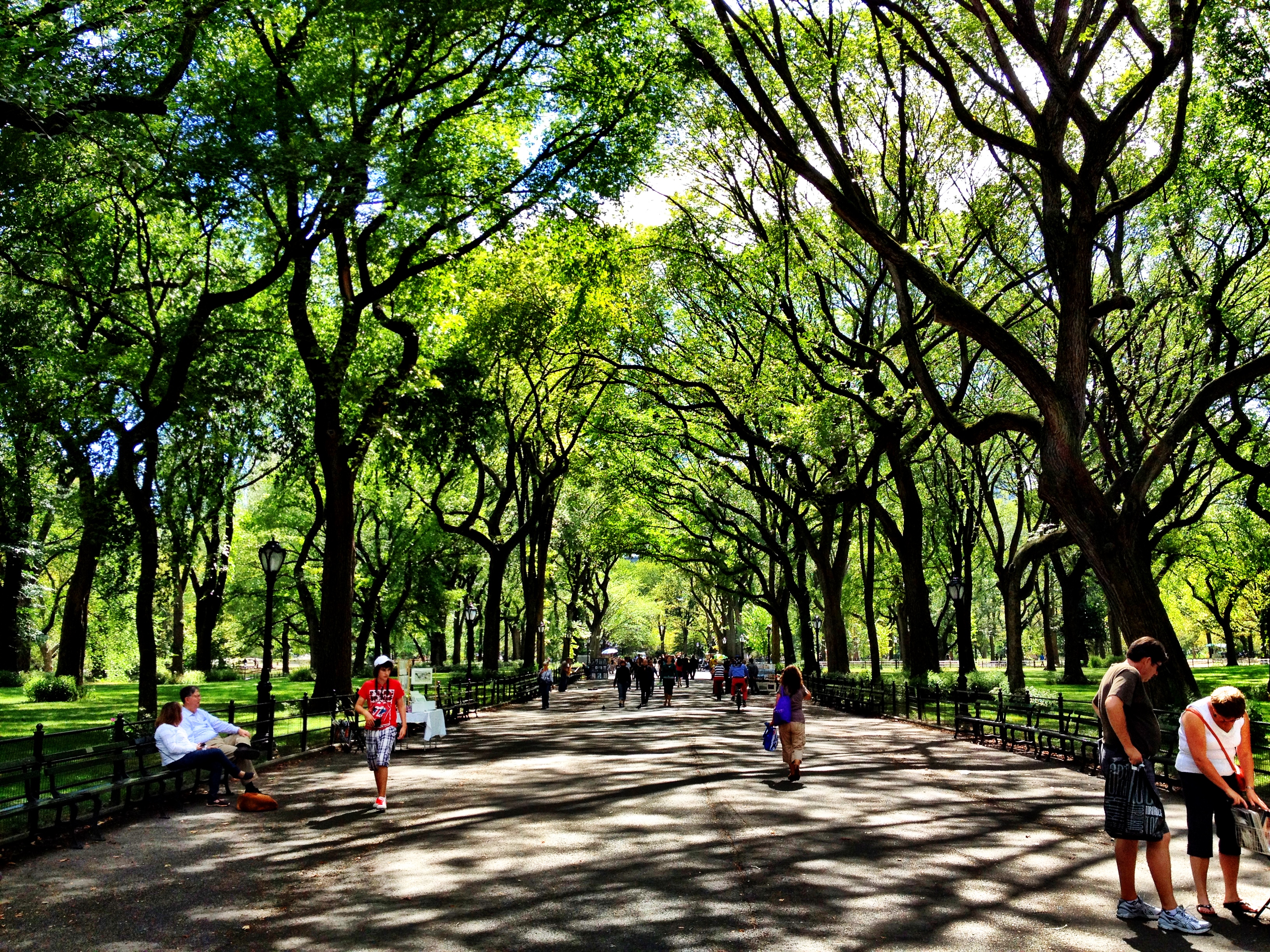 Парк ласковый. Центральный парк в Нью-Йорке аллея. Липовая аллея Атажукинский парк. Центральный парк Нью-Йорка фото. Central Park Ташкент.